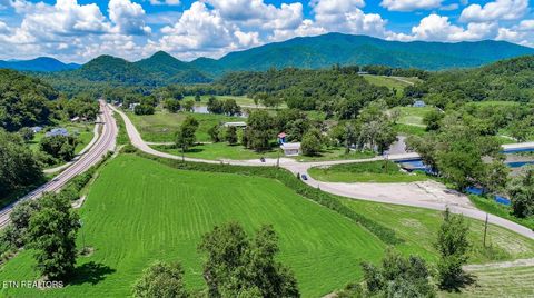 Tiny photo for 151 S Hwy 107, Del Rio, TN 37727 (MLS # 1310883)