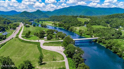 Tiny photo for 151 S Hwy 107, Del Rio, TN 37727 (MLS # 1310883)