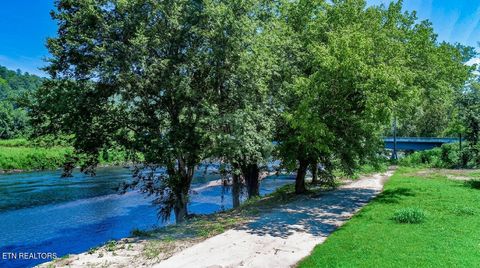 Tiny photo for 151 S Hwy 107, Del Rio, TN 37727 (MLS # 1310883)