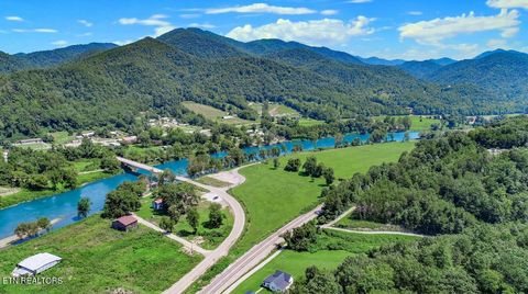 Tiny photo for 151 S Hwy 107, Del Rio, TN 37727 (MLS # 1310883)