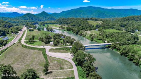 Tiny photo for 151 S Hwy 107, Del Rio, TN 37727 (MLS # 1310883)