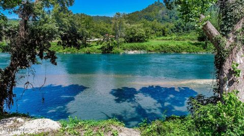 Tiny photo for 151 S Hwy 107, Del Rio, TN 37727 (MLS # 1310883)