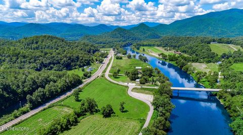 Tiny photo for 151 S Hwy 107, Del Rio, TN 37727 (MLS # 1310883)