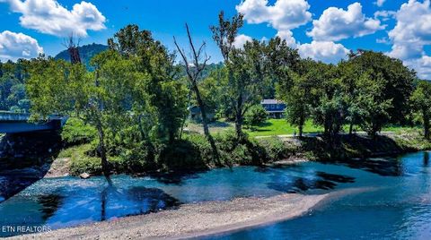 Tiny photo for 151 S Hwy 107, Del Rio, TN 37727 (MLS # 1310883)