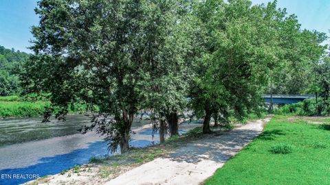 Tiny photo for 151 S Hwy 107, Del Rio, TN 37727 (MLS # 1310883)