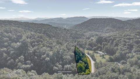 Tiny photo for 2546 Fairview Rd, Madisonville, TN 37354 (MLS # 1330234)