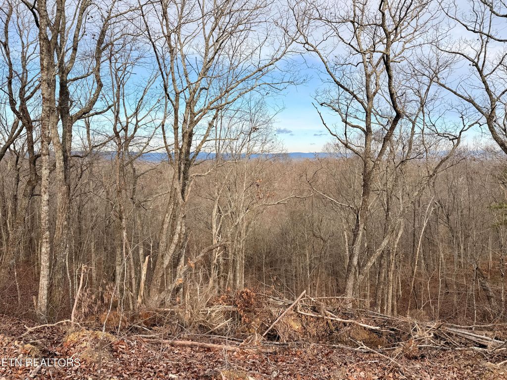 Photo of Laurel Bluff Rd, Kingston, TN 37763 (MLS # 1323912)