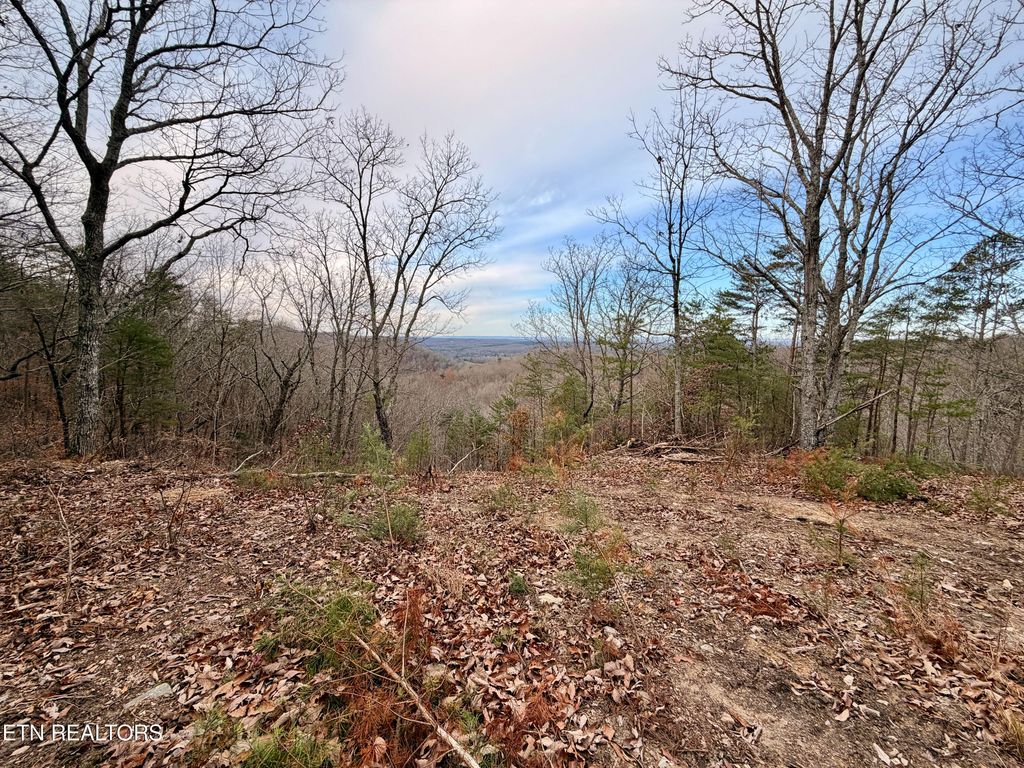 Photo of Laurel Bluff Rd, Kingston, TN 37763 (MLS # 1323912)