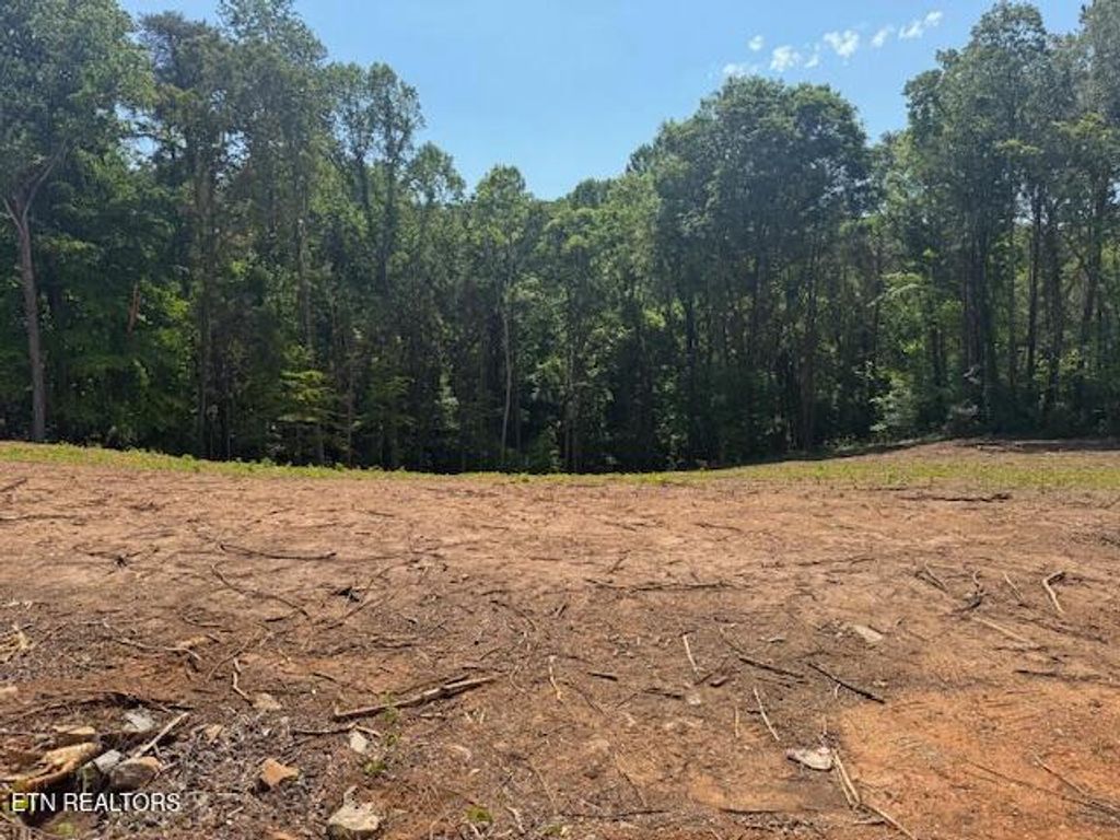 Photo of 3116 Soaring Hawk Way, Knoxville, TN 37932 (MLS # 1340871)