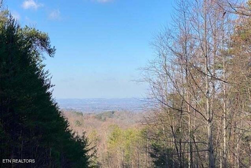 Photo of English Springs Way, Newport, TN 37821 (MLS # 1339467)