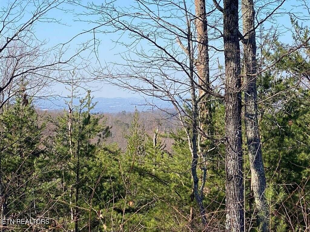 Photo of English Springs Way, Newport, TN 37821 (MLS # 1339467)