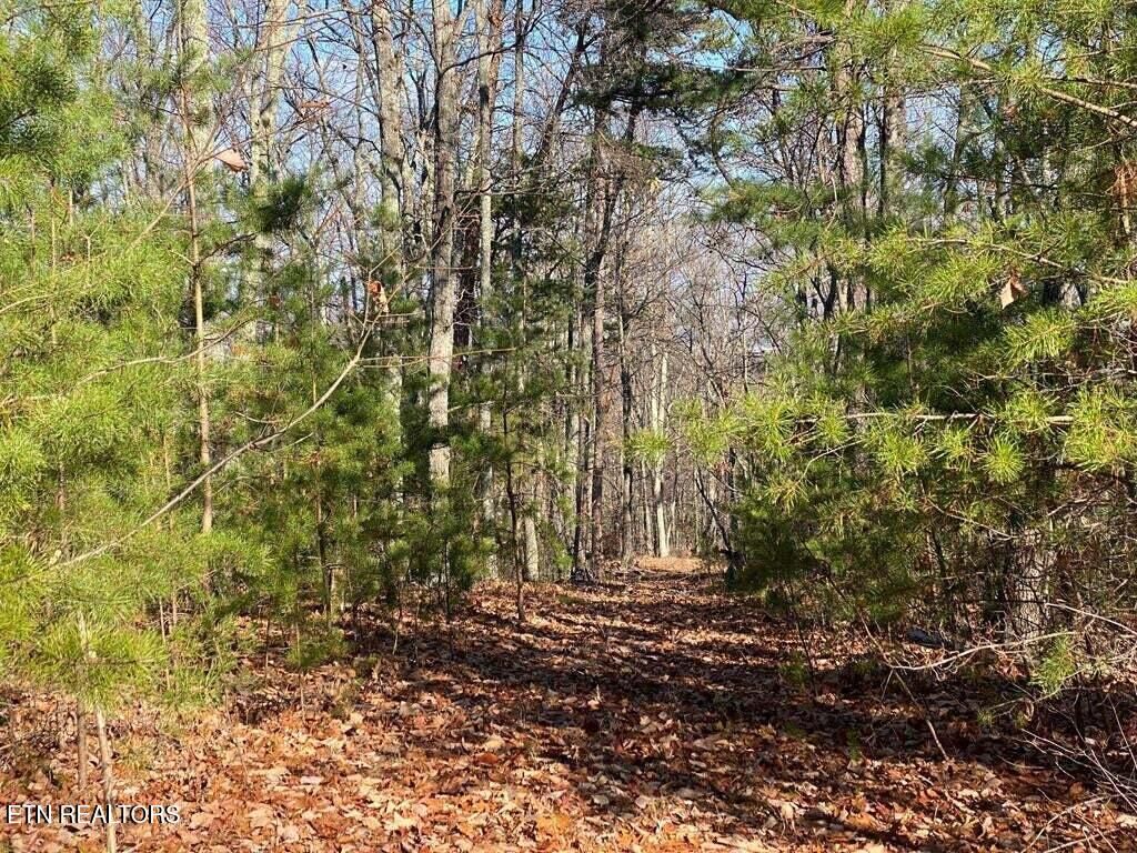 Photo of English Springs Way, Newport, TN 37821 (MLS # 1339467)