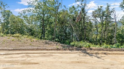 Lot 101 Sommet Ridge East Tazewell TN 37879
