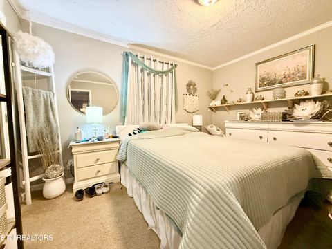 Tiny photo for 1576 Old Chisholm Tr, Dandridge, TN 37725 (MLS # 1321385)