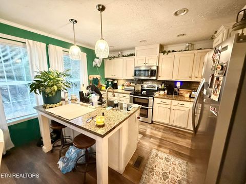 Tiny photo for 1576 Old Chisholm Tr, Dandridge, TN 37725 (MLS # 1321385)