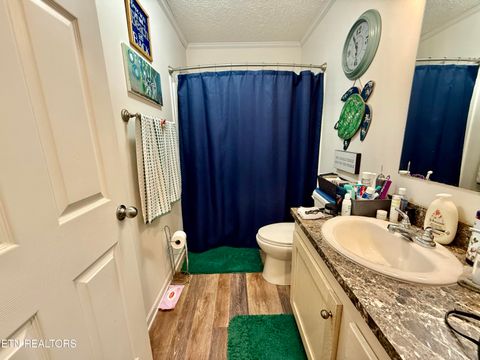 Tiny photo for 1576 Old Chisholm Tr, Dandridge, TN 37725 (MLS # 1321385)