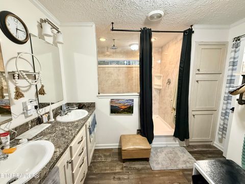 Tiny photo for 1576 Old Chisholm Tr, Dandridge, TN 37725 (MLS # 1321385)