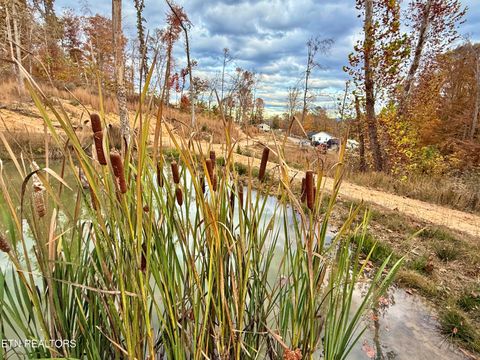 Tiny photo for 1576 Old Chisholm Tr, Dandridge, TN 37725 (MLS # 1321385)