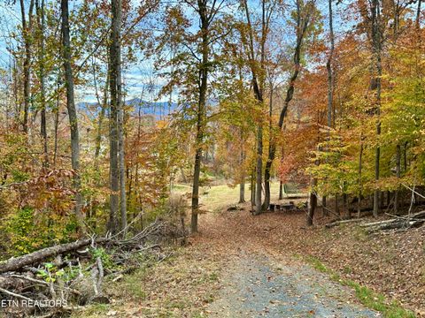 Tiny photo for 1576 Old Chisholm Tr, Dandridge, TN 37725 (MLS # 1321385)