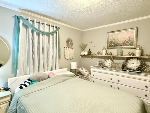 Tiny photo for 1576 Old Chisholm Tr, Dandridge, TN 37725 (MLS # 1321385)