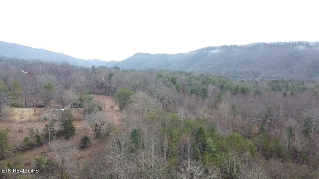 Photo of 838 E Millers Cove Rd, Walland, TN 37886 (MLS # 1323733)