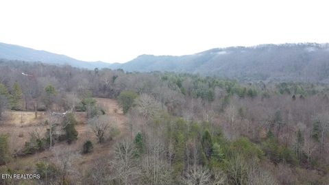 83.8 acres E Millers Cove Rd Walland TN 37886