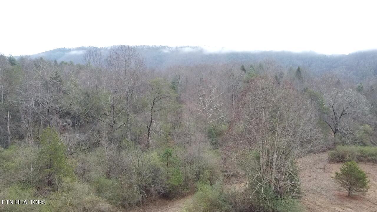 83.8 acres E Millers Cove Rd