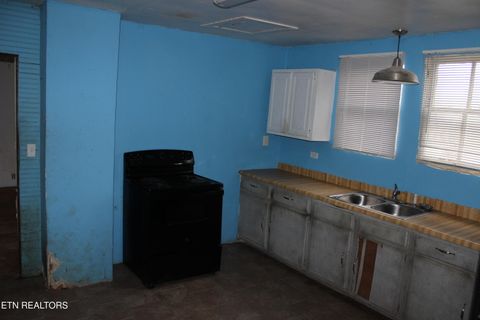 Tiny photo for 9329 Tipple Lane, Mascot, TN 37806 (MLS # 1323563)