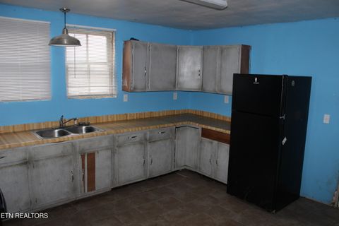 Tiny photo for 9329 Tipple Lane, Mascot, TN 37806 (MLS # 1323563)