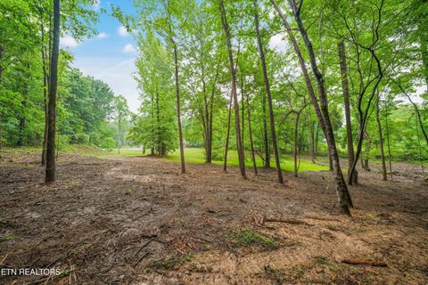 Tiny photo for 12200 Yarnell Rd, Knoxville, TN 37932 (MLS # 1342317)