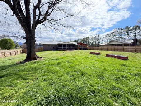 Tiny photo for 858 Burnett Drive, Newport, TN 37821 (MLS # 1333918)