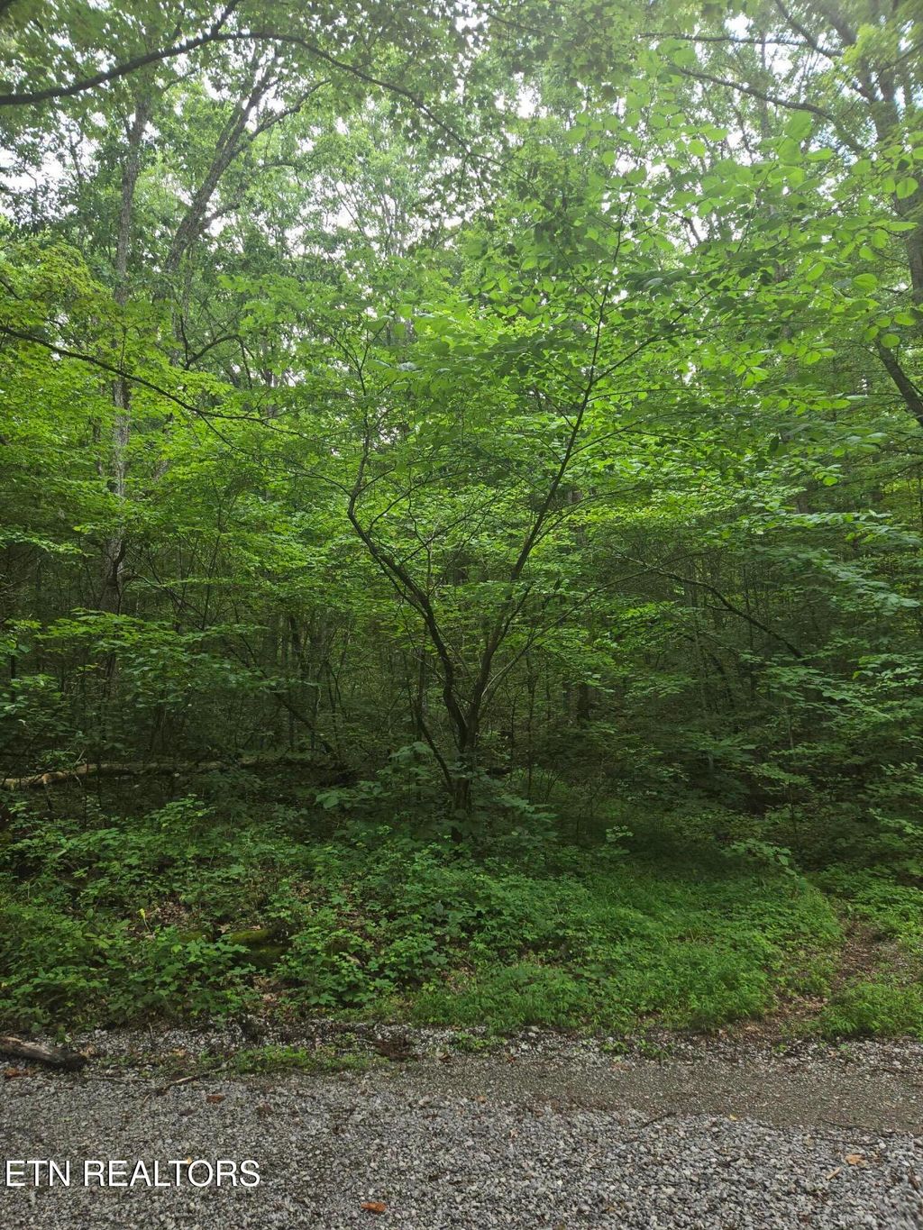 Photo of Prospect Rd, Sneedville, TN 37869 (MLS # 1308466)