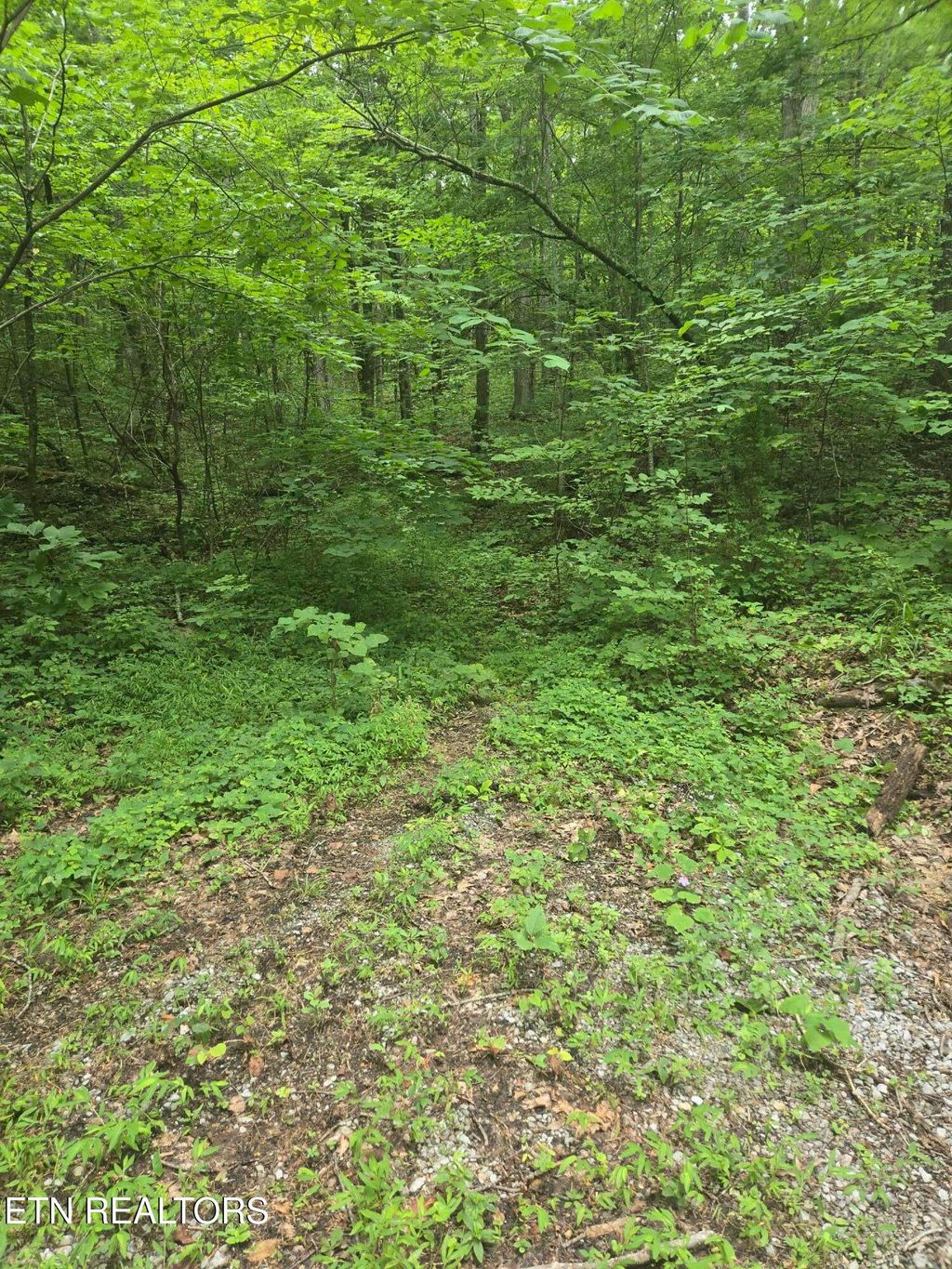 Photo of Prospect Rd, Sneedville, TN 37869 (MLS # 1308466)