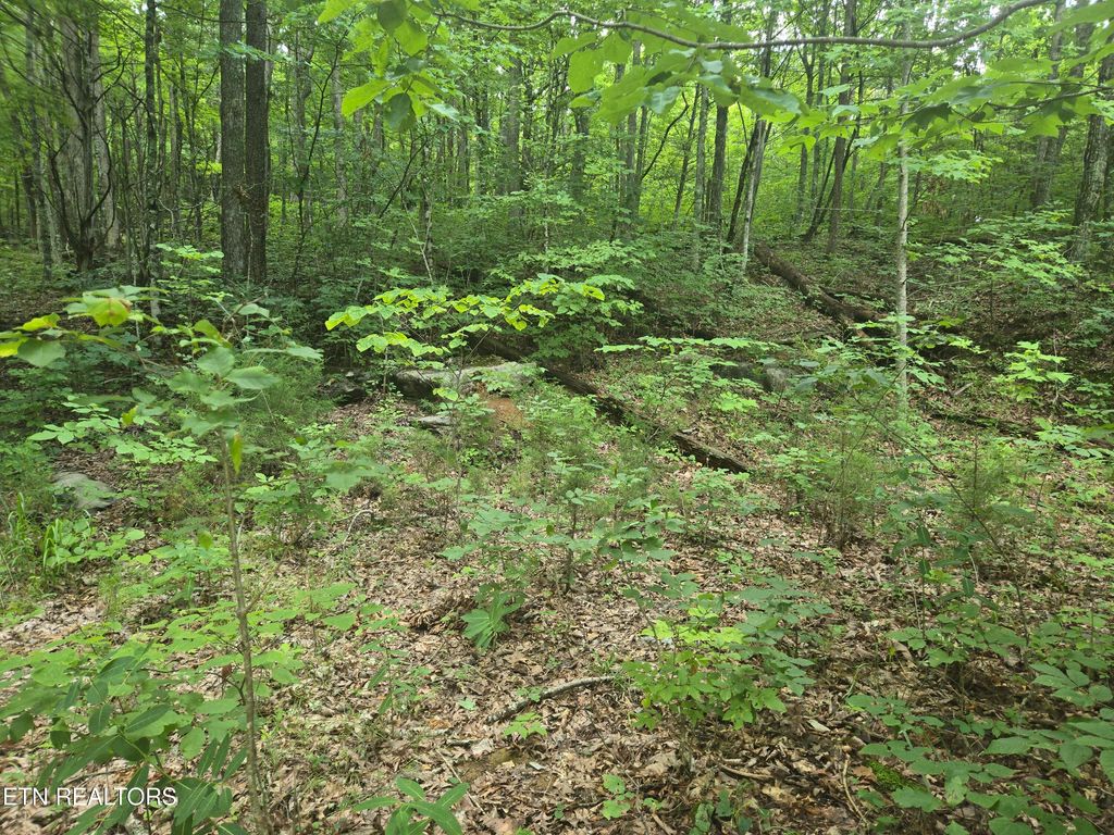 Photo of Prospect Rd, Sneedville, TN 37869 (MLS # 1308466)