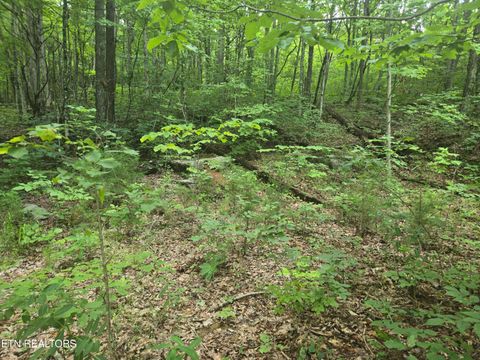 Photo of Prospect Rd, Sneedville, TN 37869 (MLS # 1308466)