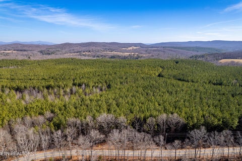 Tiny photo for Lower Rockwood Rd Lot 23, Rockwood, TN 37854 (MLS # 1357727)