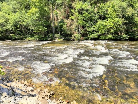 Tiny photo for 1659 Cherohala Skway Skwy, Tellico Plains, TN 37385 (MLS # 1333432)