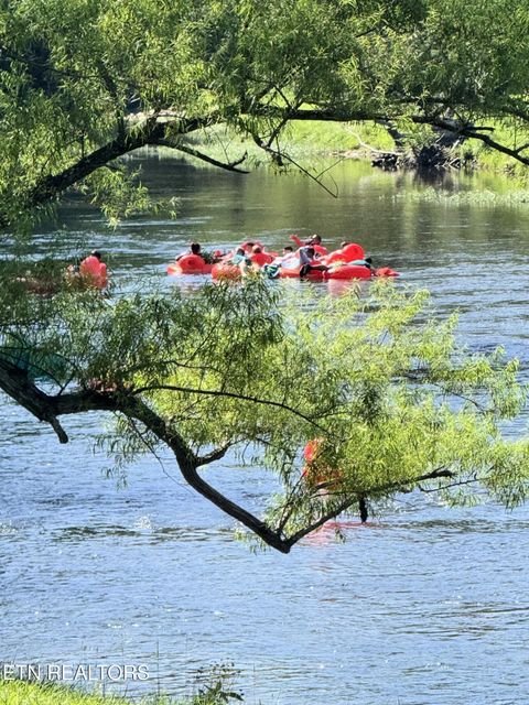 Tiny photo for 1659 Cherohala Skway Skwy, Tellico Plains, TN 37385 (MLS # 1333432)