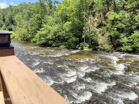 Tiny photo for 1659 Cherohala Skway Skwy, Tellico Plains, TN 37385 (MLS # 1333432)