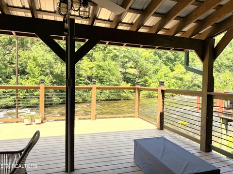 Tiny photo for 1659 Cherohala Skway Skwy, Tellico Plains, TN 37385 (MLS # 1333432)