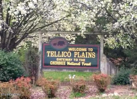 Tiny photo for 1659 Cherohala Skway Skwy, Tellico Plains, TN 37385 (MLS # 1333432)