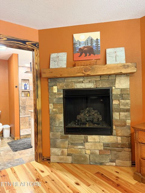 Tiny photo for 1659 Cherohala Skway Skwy, Tellico Plains, TN 37385 (MLS # 1333432)