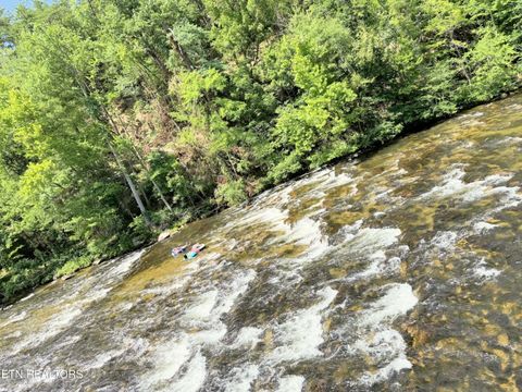 Tiny photo for 1659 Cherohala Skway Skwy, Tellico Plains, TN 37385 (MLS # 1333432)
