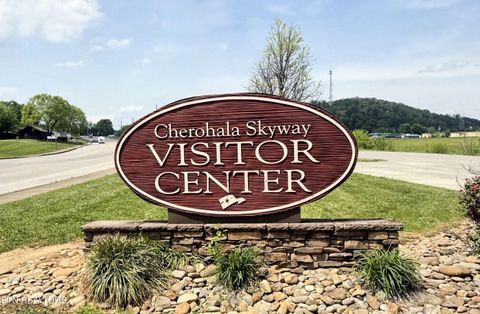 Tiny photo for 1659 Cherohala Skway Skwy, Tellico Plains, TN 37385 (MLS # 1333432)