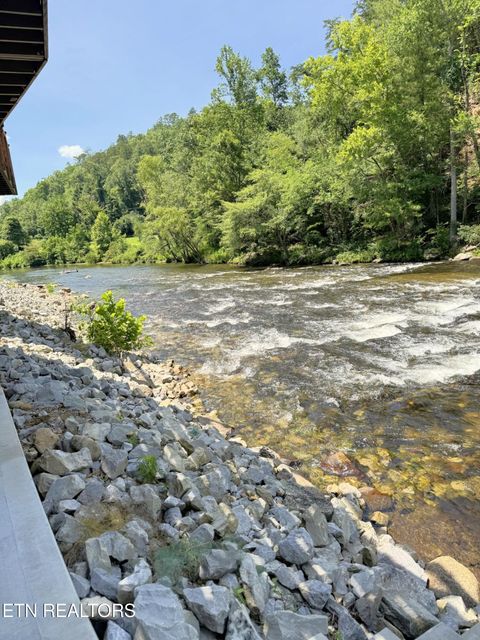 Tiny photo for 1659 Cherohala Skway Skwy, Tellico Plains, TN 37385 (MLS # 1333432)