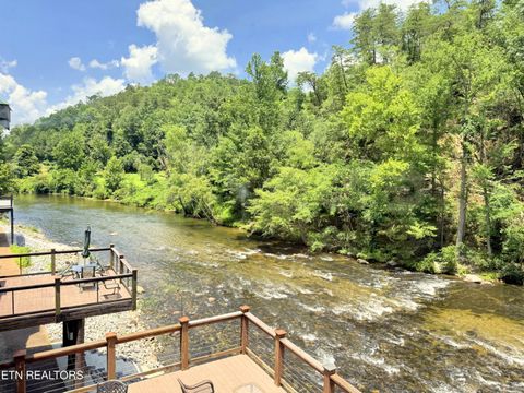 Tiny photo for 1659 Cherohala Skway Skwy, Tellico Plains, TN 37385 (MLS # 1333432)