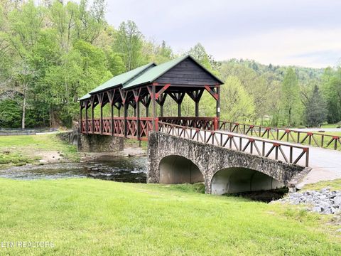 Tiny photo for 1659 Cherohala Skway Skwy, Tellico Plains, TN 37385 (MLS # 1333432)