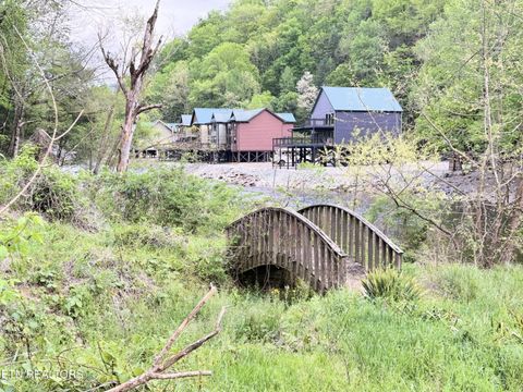 Tiny photo for 1659 Cherohala Skway Skwy, Tellico Plains, TN 37385 (MLS # 1333432)