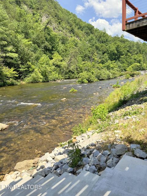 Tiny photo for 1659 Cherohala Skway Skwy, Tellico Plains, TN 37385 (MLS # 1333432)