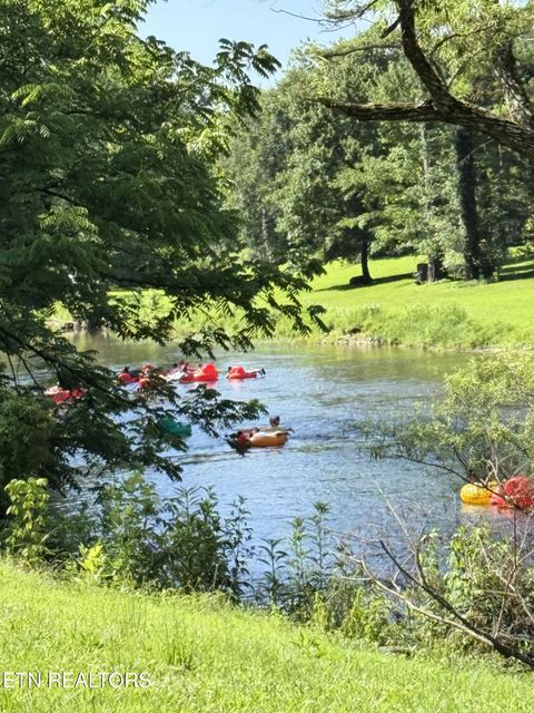 Tiny photo for 1659 Cherohala Skway Skwy, Tellico Plains, TN 37385 (MLS # 1333432)